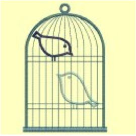 cage oiseaux appliqués